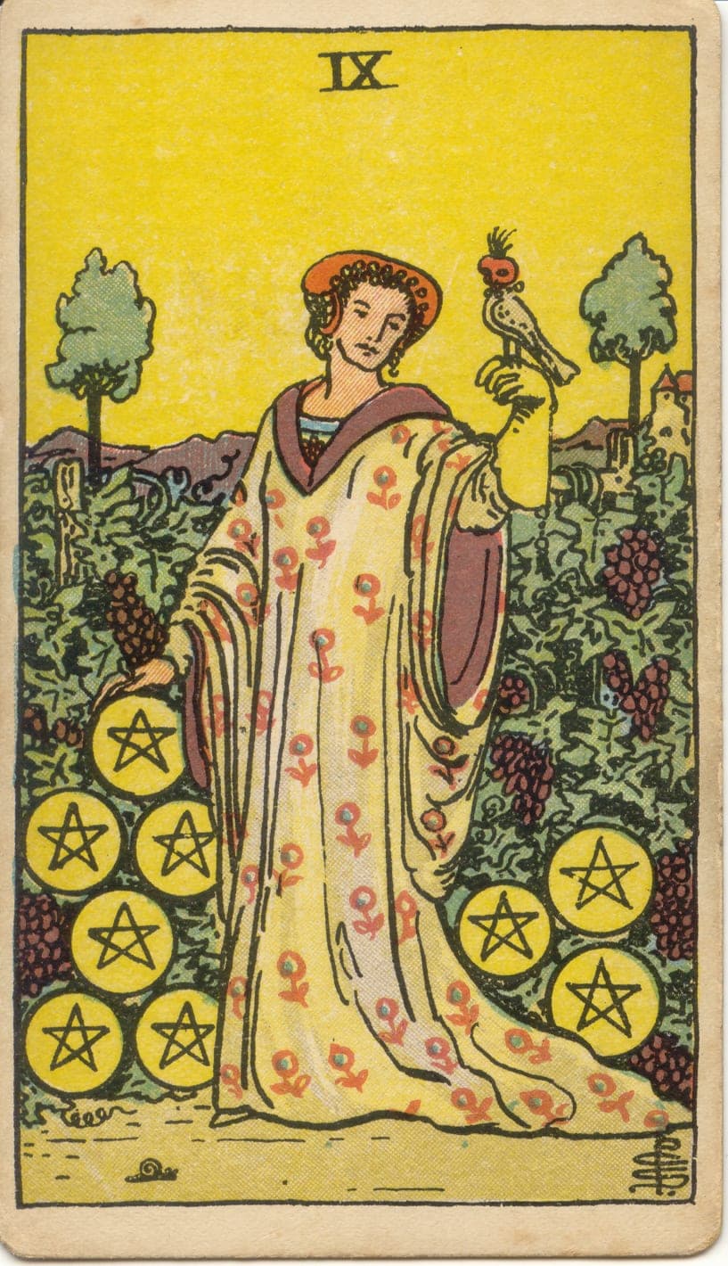 Nine of Pentacles